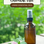 Pinterest-image-homemade-bug-spray-nontoxic