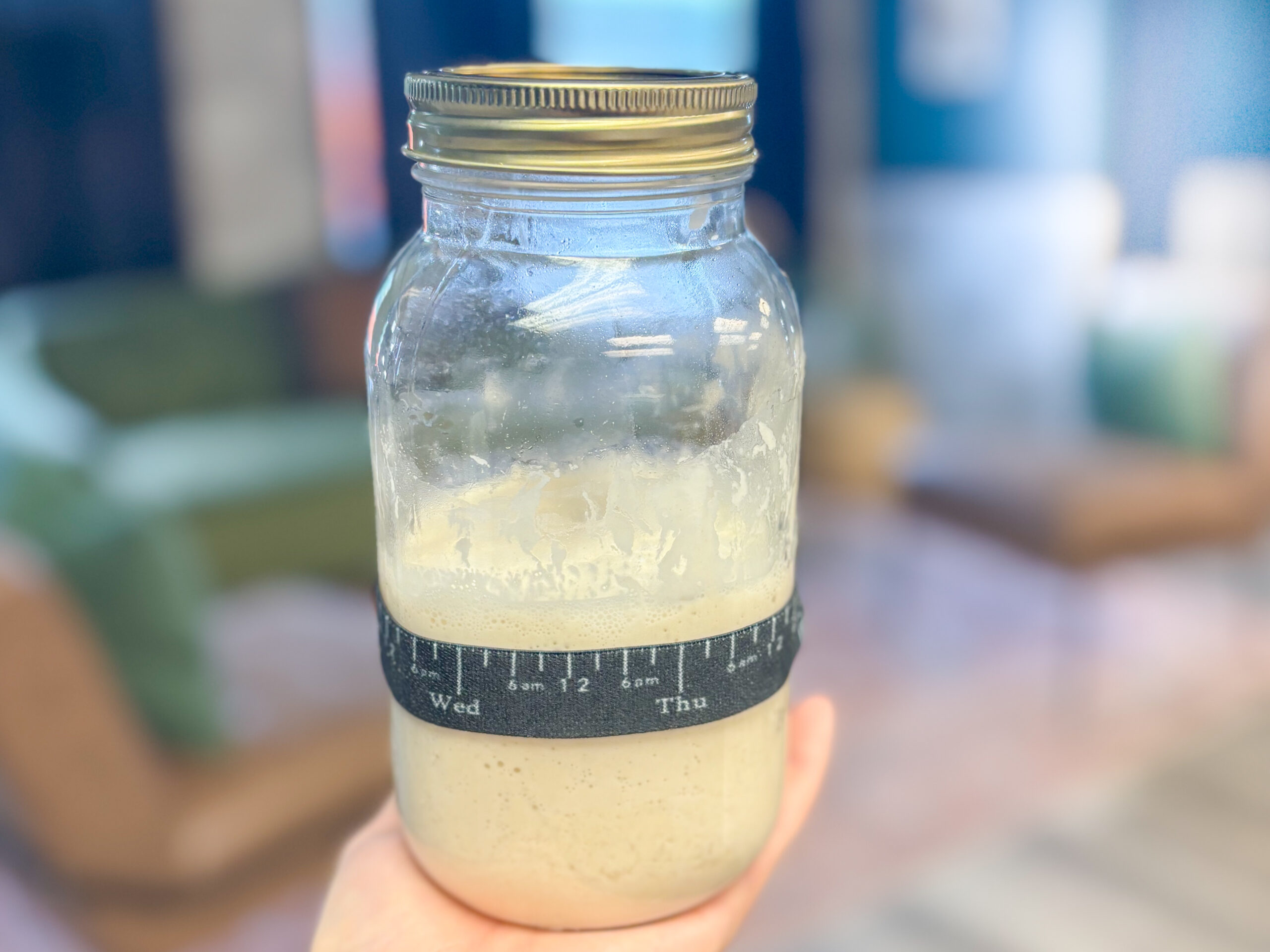 Gifted sourdough starter for all baking recipes