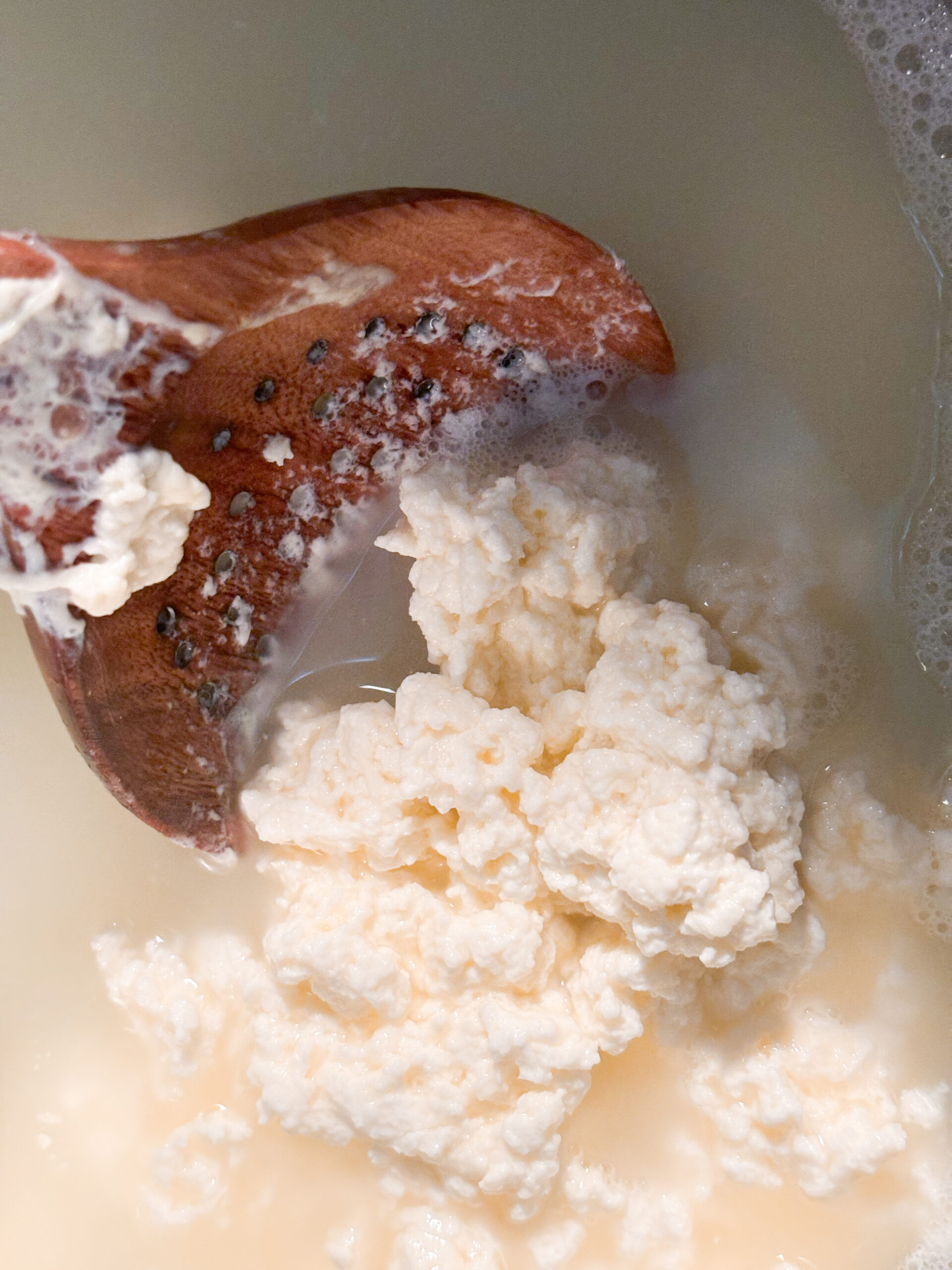 Curd forming for homemade cottage cheese