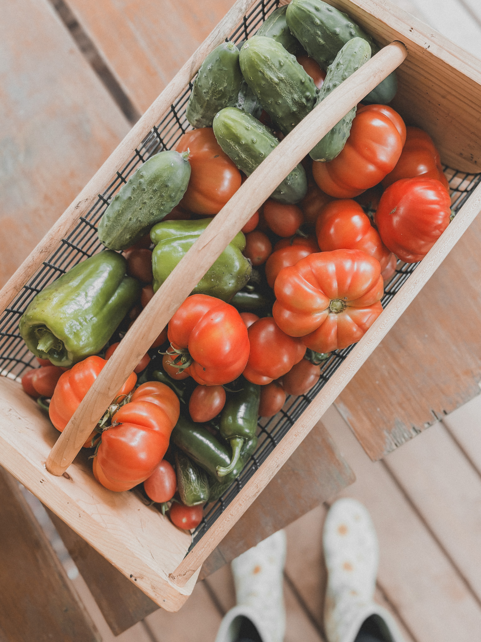 Fresh Garden Produce in basket