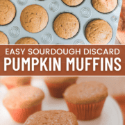 Pinterest image easy sourdough discard pumpkin muffins or bread