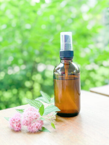 Homemade bug spray using essential oils nontoxic