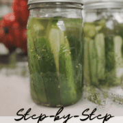 Pinterest image for beginner canning homemade dill pickes