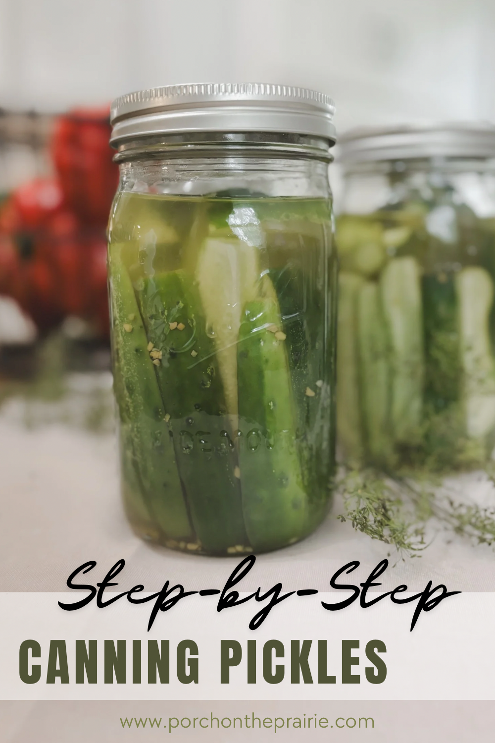 Pinterest image for beginner canning homemade dill pickes