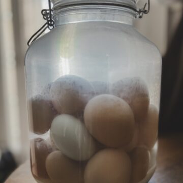 Water glassed eggs in jar