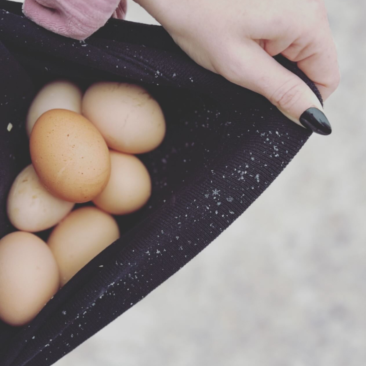 Methods for Preserving Farm Fresh Eggs for Winter