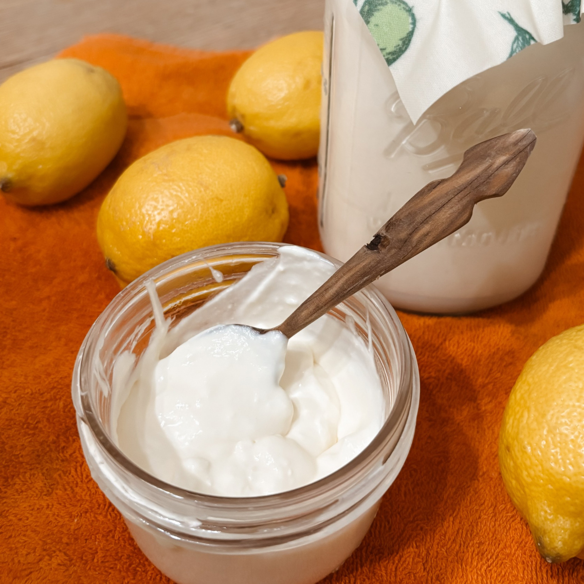 Homemade Raw Milk Sour Cream - 2 Ingredients (3 ways)