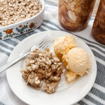 Homemade sourdough discard apple crisp with homemade raw milk ice cream