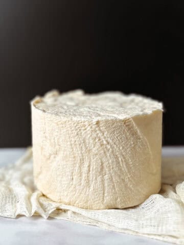 Raw milk cheddar cheese wheel featured photo